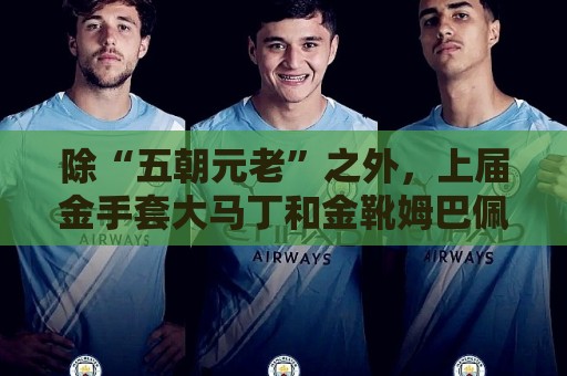 除“五朝元老”之外，上届金手套大马丁和金靴姆巴佩也有定制臂章