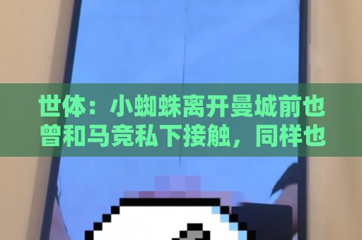 世体:小蜘蛛离开曼城前也曾和马竞私下接触,同样也表达过不满 世体:小蜘蛛离开曼城前也曾和马竞私下接触,同样也表达过不满