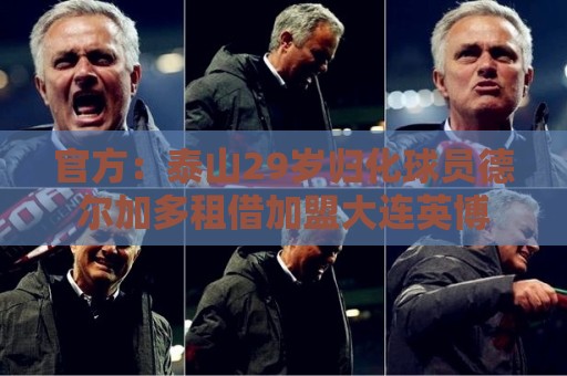 官方:泰山29岁归化球员德尔加多租借加盟大连英博 官方:泰山29岁归化球员德尔加多租借加盟大连英博