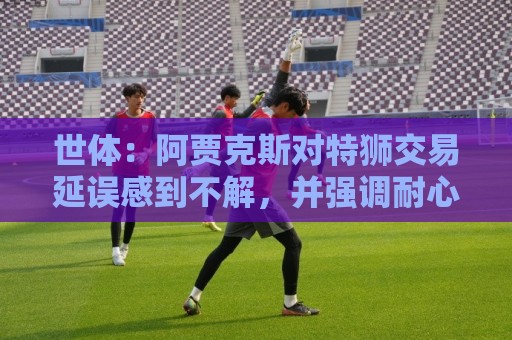 世体：阿贾克斯对特狮交易延误感到不解，并强调耐心并非无限