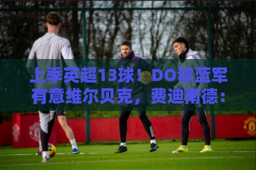 上季英超13球!DO称蓝军有意维尔贝克,费迪南德:回曼联踢欧冠吧 上季英超13球!DO称蓝军有意维尔贝克,费迪南德:回曼联踢欧冠吧