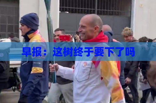 早报：这树终于要下了吗