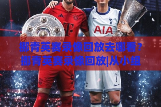 挪青英赛录像回放去哪看？挪青英赛录像回放|从小组赛到决赛的完整回看思路与画质挑选门道⚽最大权威网页压球站中文解说直播指南蓝光低水无需注册