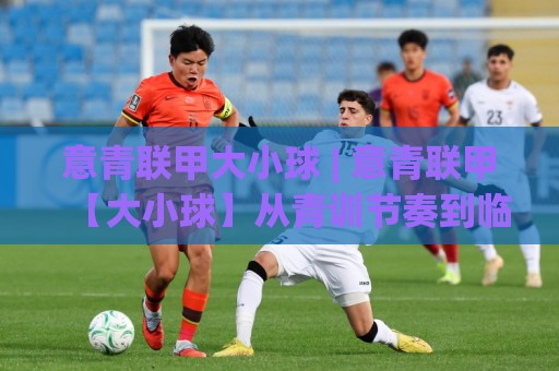 意青联甲大小球 | 意青联甲【大小球】从青训节奏到临场变盘的深层逻辑⚽最全手机信誉投球网代理1080P官网无插件低调看冠军 意青联甲大小球 | 意青联甲【大小球】从青训节奏到临场变盘的深层逻辑⚽最全手机信誉投球网代理1080P官网无插件低调看冠军