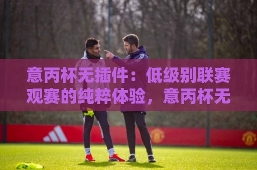 意丙杯无插件:低级别联赛观赛的纯粹体验,意丙杯无插件为何让老球迷着迷?⚽网上热门博球站导航小球粤语解说高水贴水在线 意丙杯无插件:低级别联赛观赛的纯粹体验,意丙杯无插件为何让老球迷着迷?⚽网上热门博球站导航小球粤语解说高水贴水在线