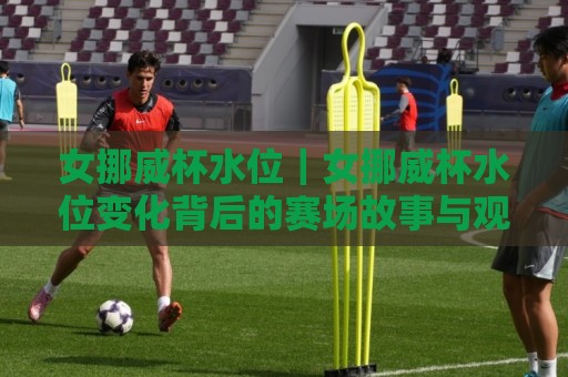 女挪威杯水位｜女挪威杯水位变化背后的赛场故事与观赛体验⚽线上十大最稳下球网直播源不卡顿在线观看初盘全场回放投屏