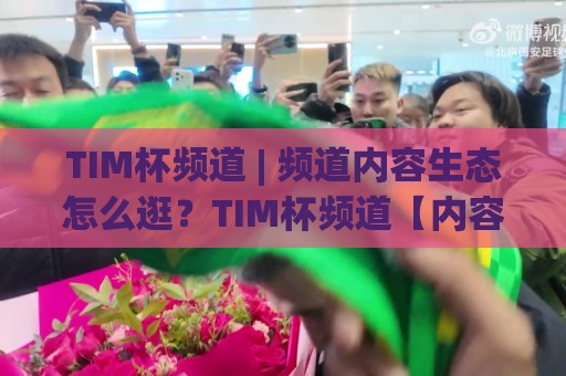 TIM杯频道 | 频道内容生态怎么逛？TIM杯频道【内容脉络】与沉浸体验的打开方式⚽线上十大最稳下球网直播源不卡顿在线观看初盘全场回放投屏