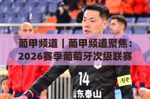葡甲频道｜葡甲频道聚焦：2026赛季葡萄牙次级联赛的观赛脉络与球队看点(葡甲频道)⚽最大权威网页堵球站早盘文字中文解说直播指南蓝光